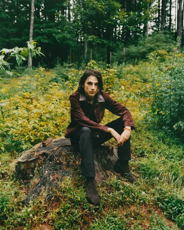 Timothée Chalamet
