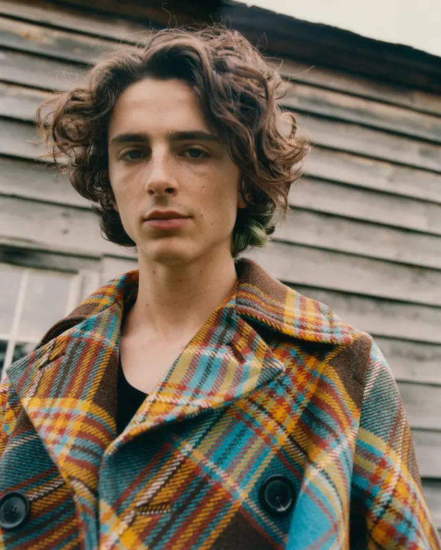 Timothée Chalamet